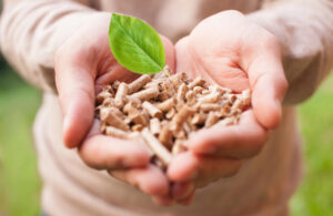 caratteristiche del pellet
